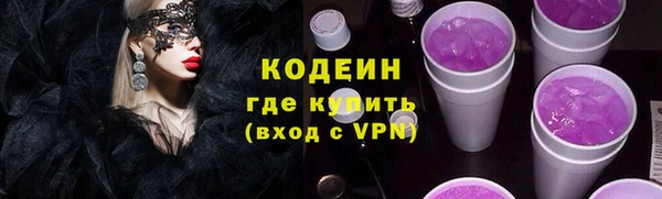 индика Богородицк