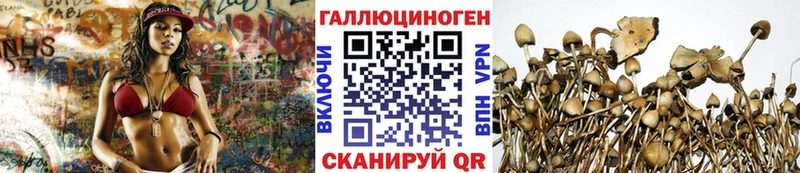 mega зеркало Ковров Галлюциногенные грибы MAGIC MUSHROOMS