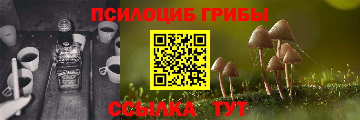 Ковров  Галлюциногенные грибы Psilocybe  Вход с VPN 