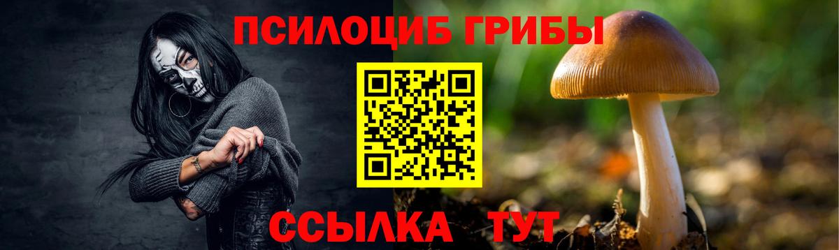 Псилоцибиновые грибы GOLDEN TEACHER Ковров